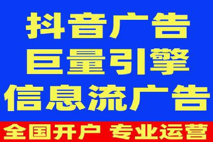 专业SEM服务公司案例分析报告